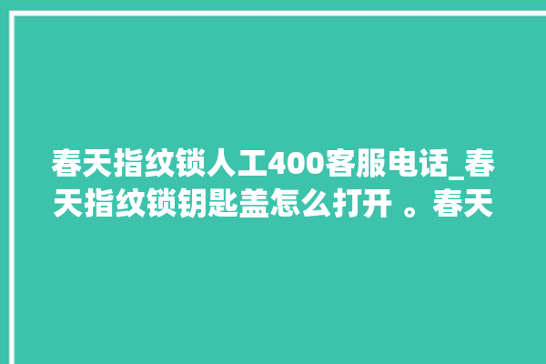 春天指纹锁人工400客服电话_春天指纹锁钥匙盖怎么打开 。春天