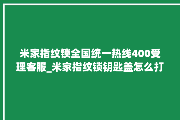 米家指纹锁全国统一热线400受理客服_米家指纹锁钥匙盖怎么打开 。指纹锁