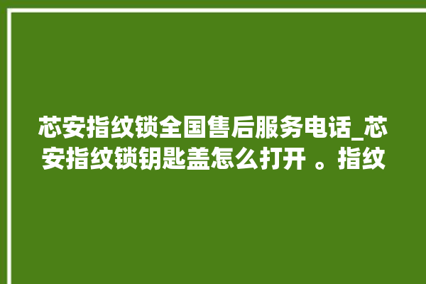 芯安指纹锁全国售后服务电话_芯安指纹锁钥匙盖怎么打开 。指纹锁