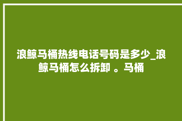 浪鲸马桶热线电话号码是多少_浪鲸马桶怎么拆卸 。马桶