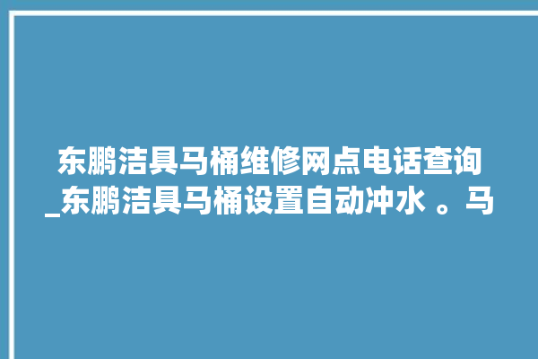 东鹏洁具马桶维修网点电话查询_东鹏洁具马桶设置自动冲水 。马桶