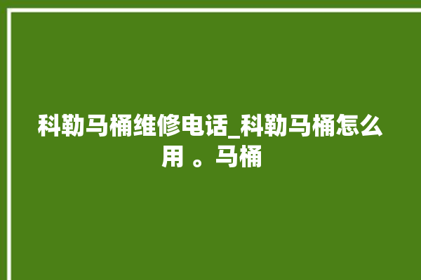 科勒马桶维修电话_科勒马桶怎么用 。马桶