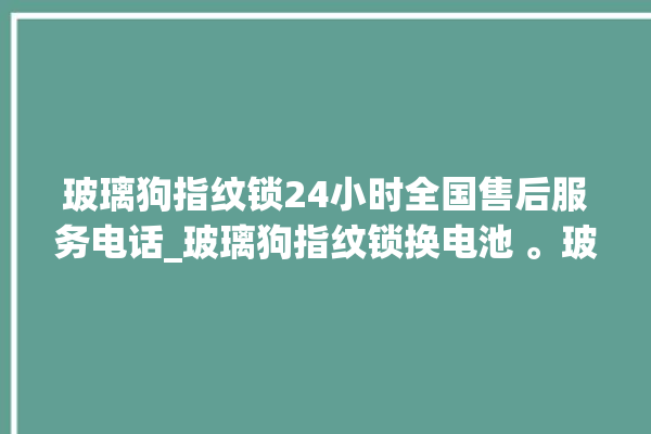 玻璃狗指纹锁24小时全国售后服务电话_玻璃狗指纹锁换电池 。玻璃