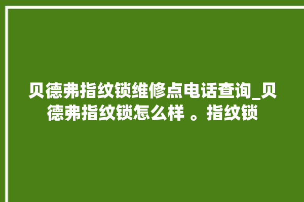 贝德弗指纹锁维修点电话查询_贝德弗指纹锁怎么样 。指纹锁