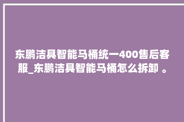 东鹏洁具智能马桶统一400售后客服_东鹏洁具智能马桶怎么拆卸 。马桶