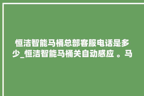 恒洁智能马桶总部客服电话是多少_恒洁智能马桶关自动感应 。马桶