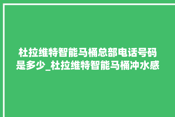 杜拉维特智能马桶总部电话号码是多少_杜拉维特智能马桶冲水感应怎么调 。马桶