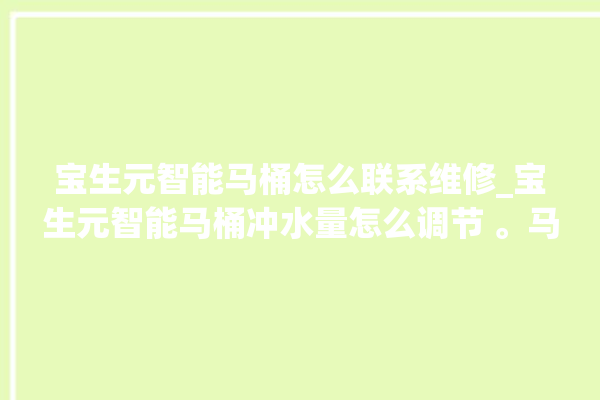 宝生元智能马桶怎么联系维修_宝生元智能马桶冲水量怎么调节 。马桶