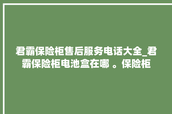 君霸保险柜售后服务电话大全_君霸保险柜电池盒在哪 。保险柜