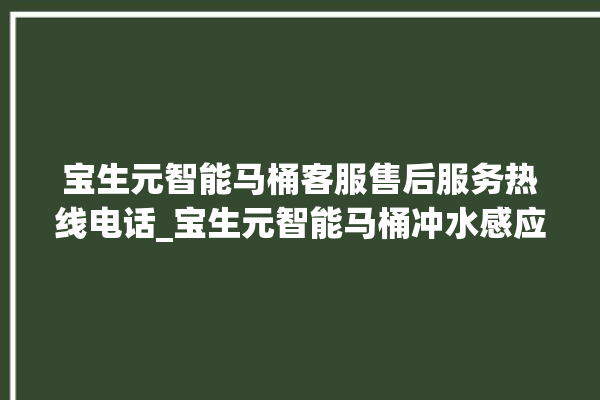 宝生元智能马桶客服售后服务热线电话_宝生元智能马桶冲水感应怎么调 。马桶