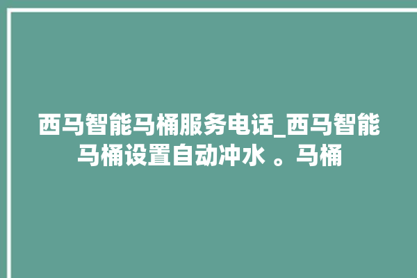 西马智能马桶服务电话_西马智能马桶设置自动冲水 。马桶