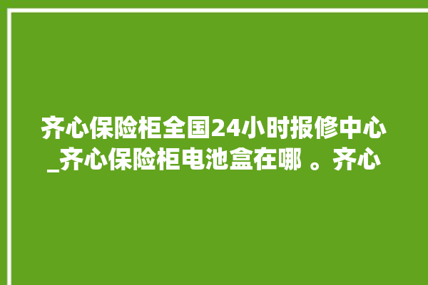 齐心保险柜全国24小时报修中心_齐心保险柜电池盒在哪 。齐心