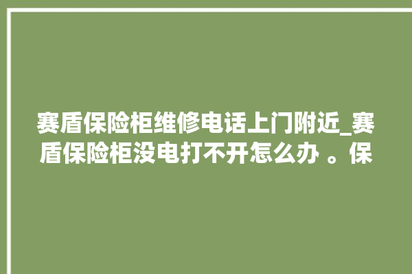 赛盾保险柜维修电话上门附近_赛盾保险柜没电打不开怎么办 。保险柜