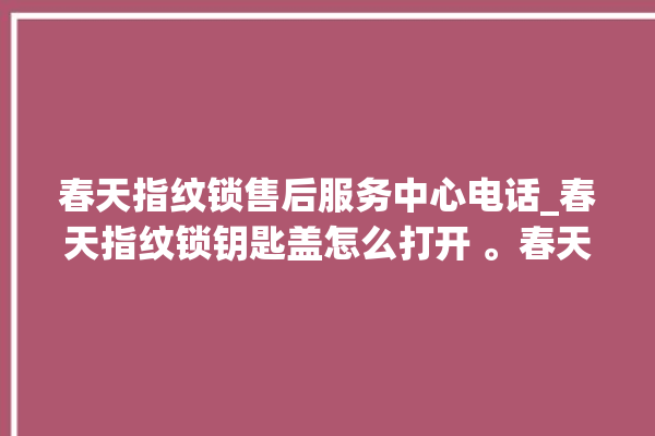 春天指纹锁售后服务中心电话_春天指纹锁钥匙盖怎么打开 。春天