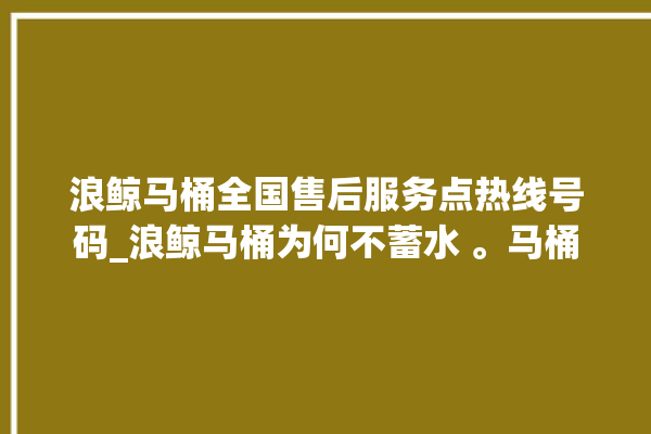 浪鲸马桶全国售后服务点热线号码_浪鲸马桶为何不蓄水 。马桶