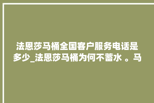 法恩莎马桶全国客户服务电话是多少_法恩莎马桶为何不蓄水 。马桶