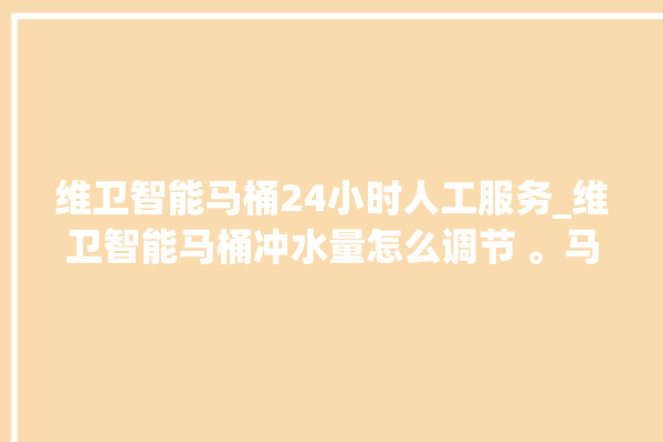 维卫智能马桶24小时人工服务_维卫智能马桶冲水量怎么调节 。马桶