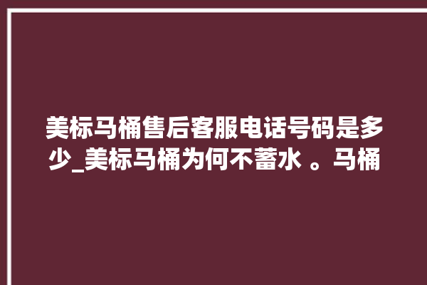 美标马桶售后客服电话号码是多少_美标马桶为何不蓄水 。马桶