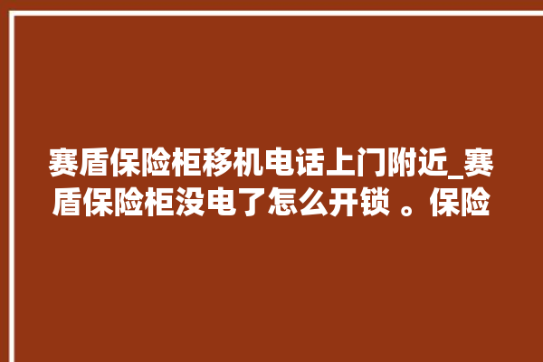 赛盾保险柜移机电话上门附近_赛盾保险柜没电了怎么开锁 。保险柜