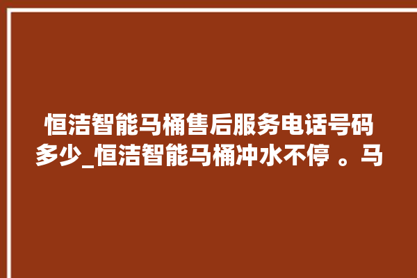 恒洁智能马桶售后服务电话号码多少_恒洁智能马桶冲水不停 。马桶