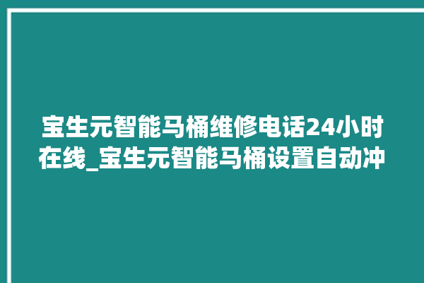 宝生元智能马桶维修电话24小时在线_宝生元智能马桶设置自动冲水 。马桶