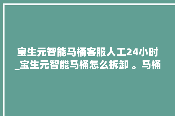 宝生元智能马桶客服人工24小时_宝生元智能马桶怎么拆卸 。马桶