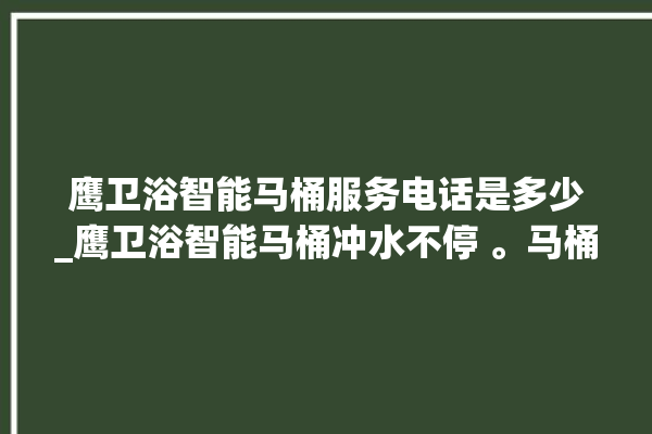 鹰卫浴智能马桶服务电话是多少_鹰卫浴智能马桶冲水不停 。马桶