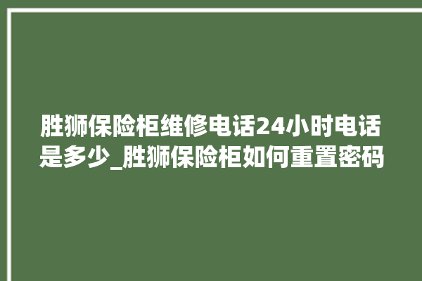 胜狮保险柜维修电话24小时电话是多少_胜狮保险柜如何重置密码 。保险柜