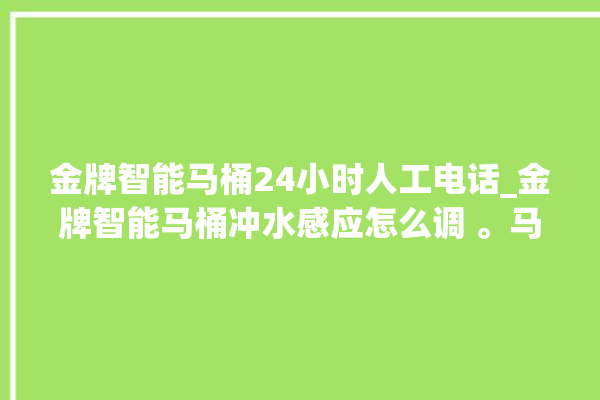 金牌智能马桶24小时人工电话_金牌智能马桶冲水感应怎么调 。马桶