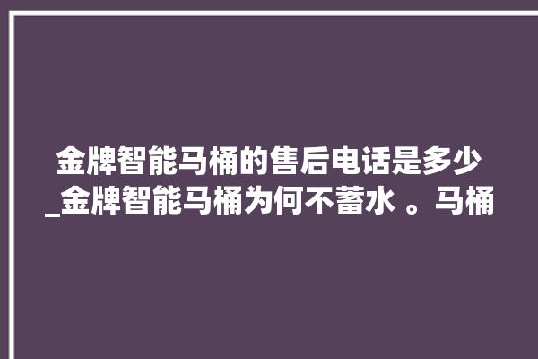 金牌智能马桶的售后电话是多少_金牌智能马桶为何不蓄水 。马桶