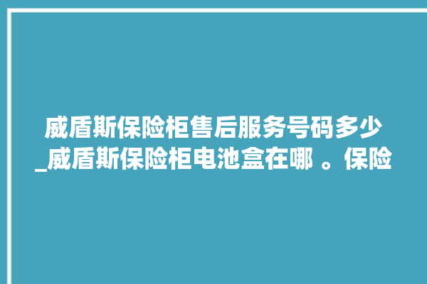 威盾斯保险柜售后服务号码多少_威盾斯保险柜电池盒在哪 。保险柜