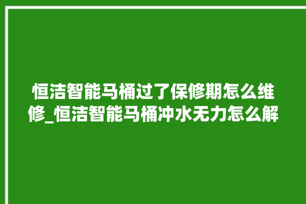 恒洁智能马桶过了保修期怎么维修_恒洁智能马桶冲水无力怎么解决 。马桶