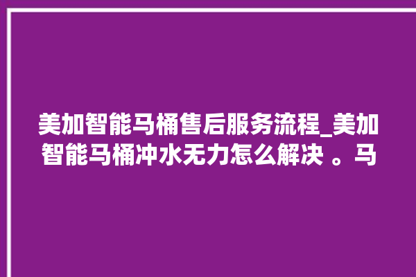 美加智能马桶售后服务流程_美加智能马桶冲水无力怎么解决 。马桶