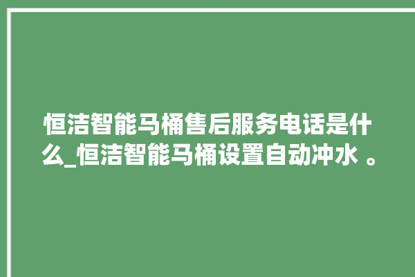 恒洁智能马桶售后服务电话是什么_恒洁智能马桶设置自动冲水 。马桶