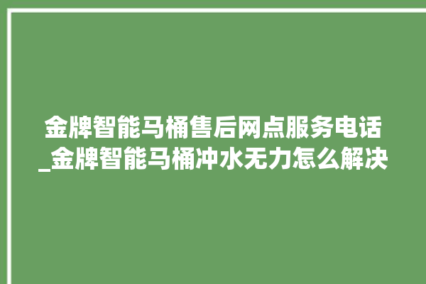 金牌智能马桶售后网点服务电话_金牌智能马桶冲水无力怎么解决 。马桶