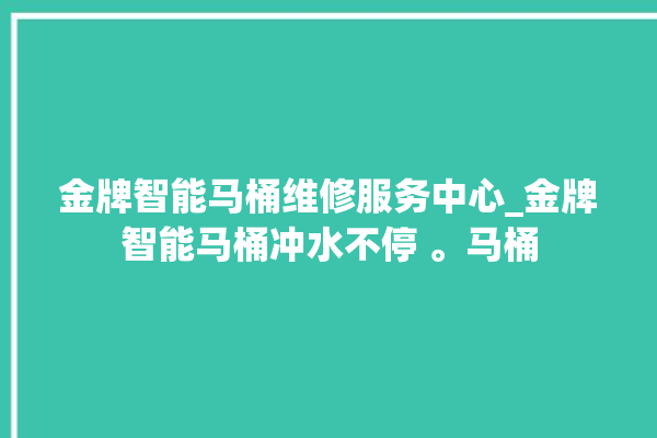 金牌智能马桶维修服务中心_金牌智能马桶冲水不停 。马桶