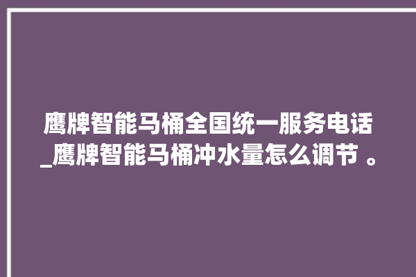 鹰牌智能马桶全国统一服务电话_鹰牌智能马桶冲水量怎么调节 。马桶