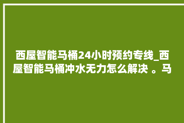 西屋智能马桶24小时预约专线_西屋智能马桶冲水无力怎么解决 。马桶