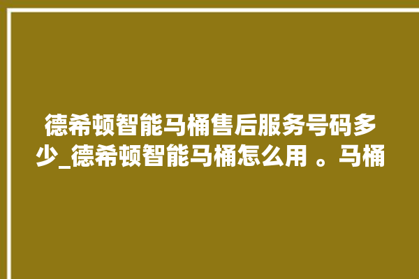 德希顿智能马桶售后服务号码多少_德希顿智能马桶怎么用 。马桶