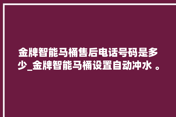 金牌智能马桶售后电话号码是多少_金牌智能马桶设置自动冲水 。马桶