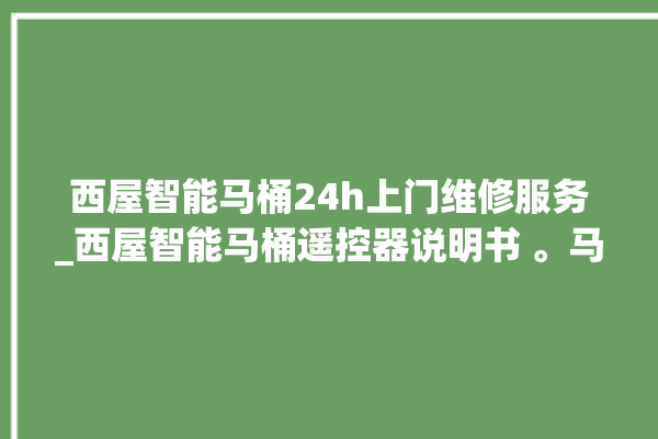 西屋智能马桶24h上门维修服务_西屋智能马桶遥控器说明书 。马桶