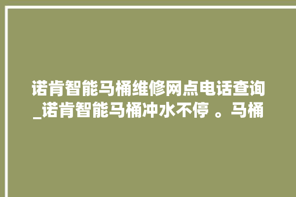 诺肯智能马桶维修网点电话查询_诺肯智能马桶冲水不停 。马桶