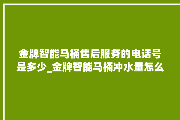 金牌智能马桶售后服务的电话号是多少_金牌智能马桶冲水量怎么调节 。马桶