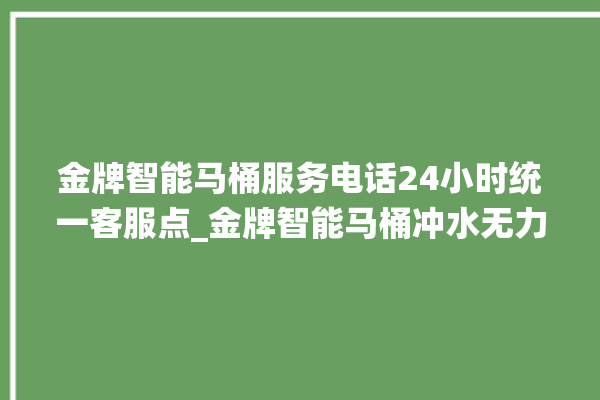 金牌智能马桶服务电话24小时统一客服点_金牌智能马桶冲水无力怎么解决 。马桶