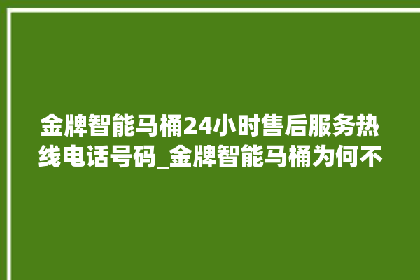 金牌智能马桶24小时售后服务热线电话号码_金牌智能马桶为何不蓄水 。马桶