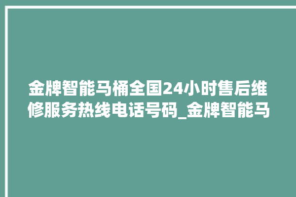 金牌智能马桶全国24小时售后维修服务热线电话号码_金牌智能马桶为何不蓄水 。马桶