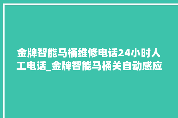 金牌智能马桶维修电话24小时人工电话_金牌智能马桶关自动感应 。马桶