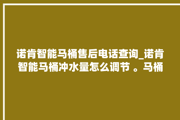 诺肯智能马桶售后电话查询_诺肯智能马桶冲水量怎么调节 。马桶