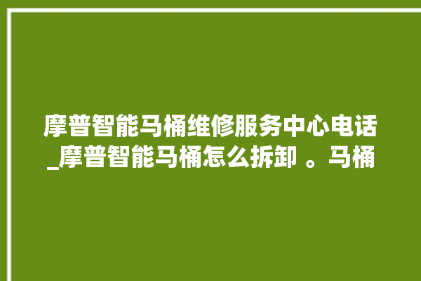 摩普智能马桶维修服务中心电话_摩普智能马桶怎么拆卸 。马桶