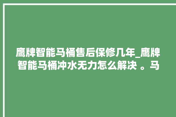 鹰牌智能马桶售后保修几年_鹰牌智能马桶冲水无力怎么解决 。马桶